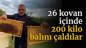 26 kovan içinde 200 kilo balını çaldılar
